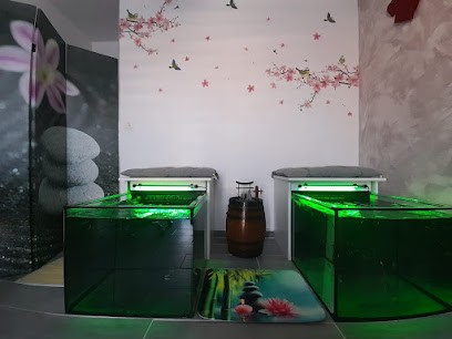 Poissons à vos pieds : Fish Spa, Institut de Beauté à Carrépuis