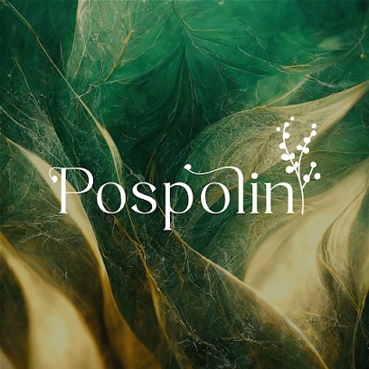 POSPOLIN Institut De Beauté Bio, Institut de Beauté à Mendionde