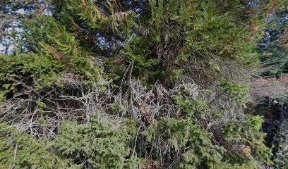 Institut Zolie Nature, Institut de Beauté à Sail-sous-Couzan