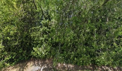 L'Onglerie 47, Institut de Beauté à Réalville