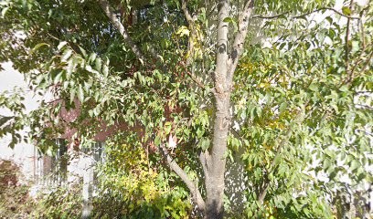 Oonails Prothésiste Ongulaire, Institut de Beauté à Saint-Maximin-la-Sainte-Baume