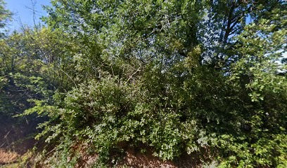 Boté nature, Esthéticienne à Réalmont