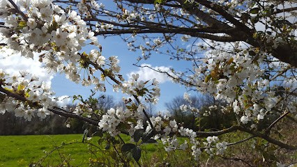 Institut Belles Des Champs, Institut de Beauté au Petit-Fougeray