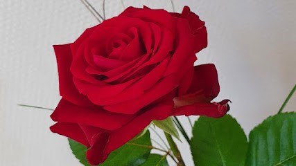 LU'Divine, Esthéticienne à Beauvoir-de-Marc