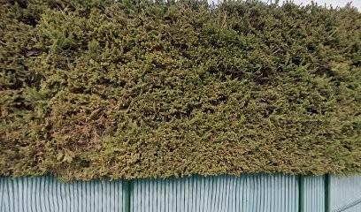 Dans Ma Bulle, Institut de Beauté à Soultz-Haut-Rhin