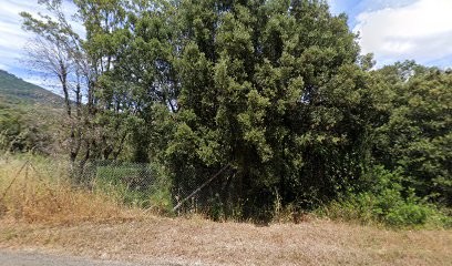 MAZZON CATHERINE, Institut de Beauté à Afa
