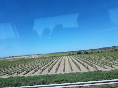 Style Charlotte, Institut de Beauté à Florensac