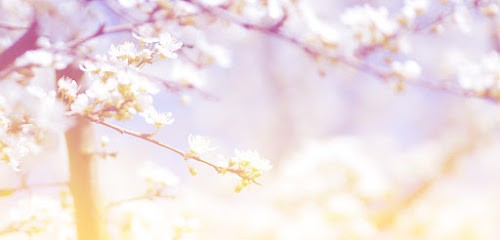 Instinct Beauté, Institut de Beauté à Saussan
