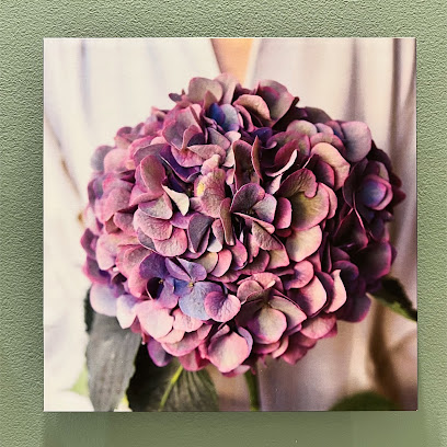 Institut Hydrangea, Institut De Beauté à Paris 16