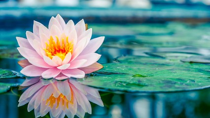 Fabienne Esthétic', Institut de Beauté à Saintes