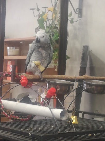 Amethyste, Institut de Beauté à Port-de-Bouc