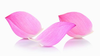 Infinity Beauté, Esthéticienne à Dargoire