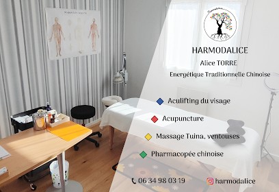 Harmodalice・Alice TORRE・Energétique Traditionnelle Chinoise Spécialisée En Lifting Naturel Du Visage, Institut de Beauté à Meylan
