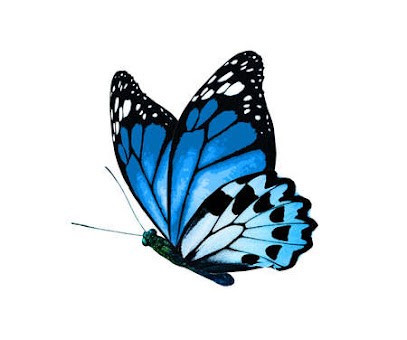 LE CIL BLEU, Institut de Beauté à Cusset