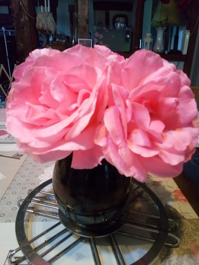 Sandra Esthétique - Pontonx-sur-l'Adour, Institut de Beauté à Pontonx-sur-l'Adour