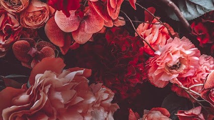 LASH AND CO, Institut de Beauté à Chaumont