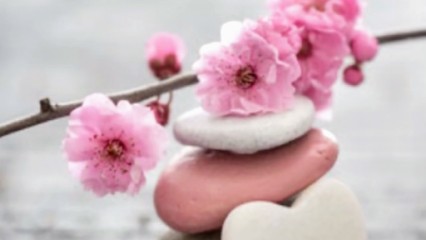 L'Escale Beauté, Institut de Beauté à Saint-Étienne-de-Tulmont