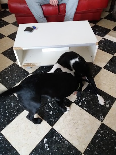 Jacquard Maryline, Institut de Beauté à Saint-Martin-du-Tertre