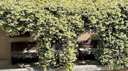 Perle d'Engane, Institut de Beauté à Beauvoisin