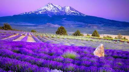 Emily Esthétique à Domicile, Institut de Beauté à La Farlède