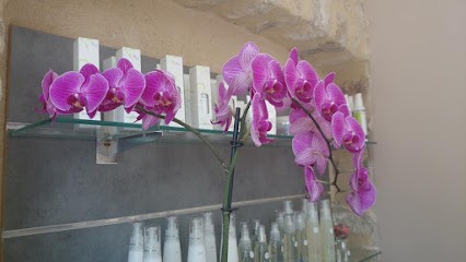 Belleza, Institut de Beauté à Pithiviers