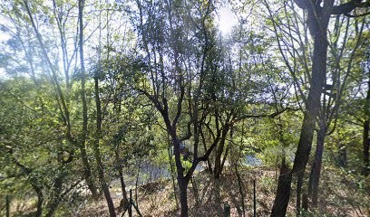 Institut Bambou Et Orchidée, Institut de Beauté à Roquefort-les-Pins