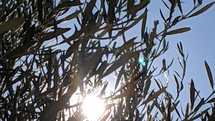 Indigo Institut, Institut de Beauté à Montélimar