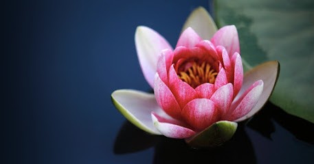 Azur Soay, Institut de Beauté à Grimaud