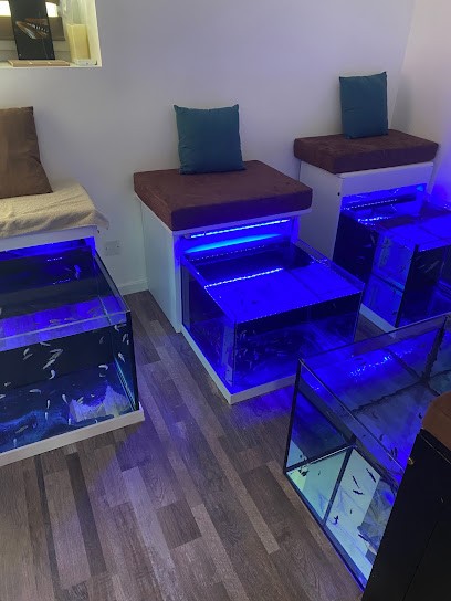 CHRIST'AILE INSTITUT - UNIQUE Fish Spa Du 14- BALNEO - HAMMAM - PRESSOTHÉRAPIE - Head Spa- Sauna Japonais, Institut de Beauté à Ponts sur Seulles