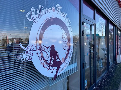 Celine Esthétique Ambiance Et Beauté, Institut de Beauté à Saint-Mars-du-Désert