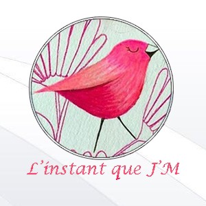 L'instant que JM, Institut de Beauté à Huisseau-sur-Mauves