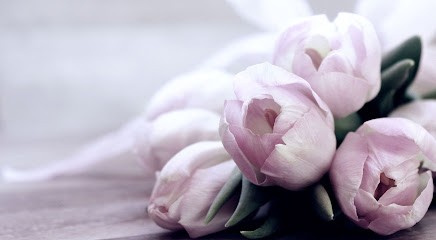 SAM' Embellie, Institut de Beauté à La Teste-de-Buch