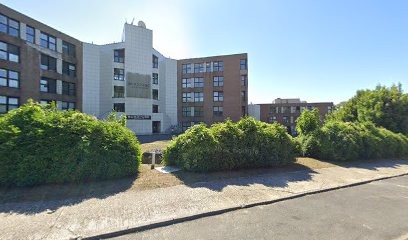 Palm Brows, Institut de Beauté à Torcy