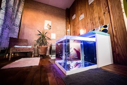 Les Rituels De Charlyne Institut Beauté-Spa , Massages , Institut de Beauté à Dissay-sous-Courcillon