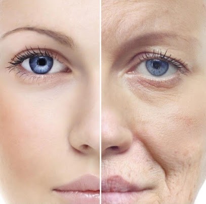 Quinn Revealer, Institut de Beauté au Bar-sur-Loup