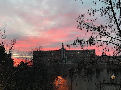 You Beauty Cils, Institut de Beauté à Ivry-sur-Seine