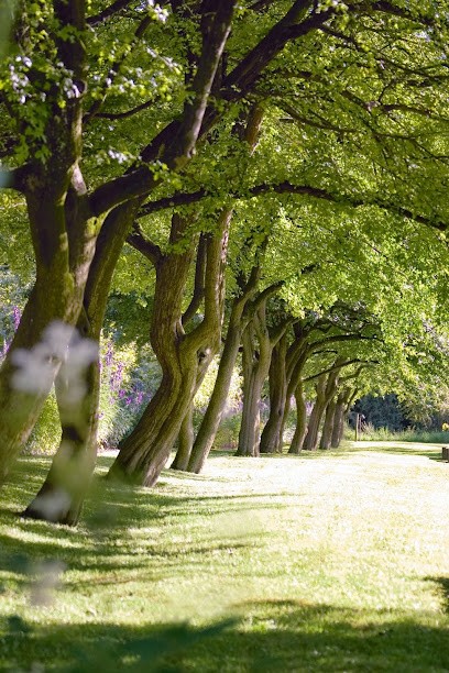 Des Petits Soins, Institut de Beauté à Saint-Médard-d'Aunis