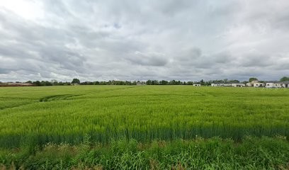 The Beauty Lounge, Esthéticienne à Castelsarrasin
