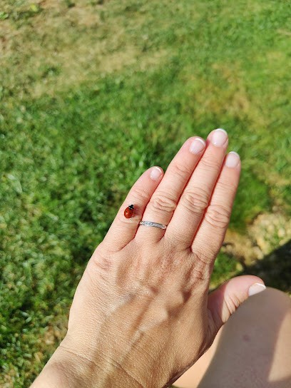Le Cocon Des FIlles, Institut de Beauté à Iteuil