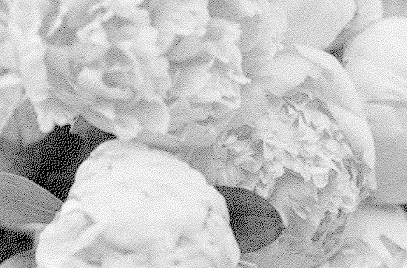 Body K, Institut de Beauté à Saint-Dié-des-Vosges