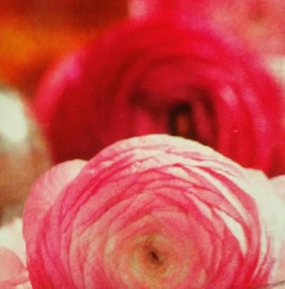 Institut De Beauté Eglantine, Institut de Beauté à Mirebeau-sur-Bèze