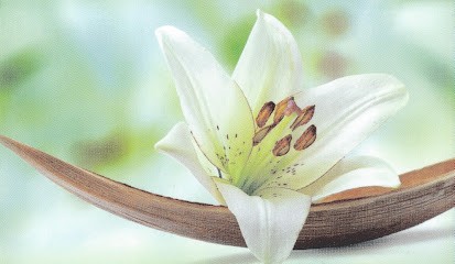 Nature Et Soins, Institut de Beauté à Pontault-Combault