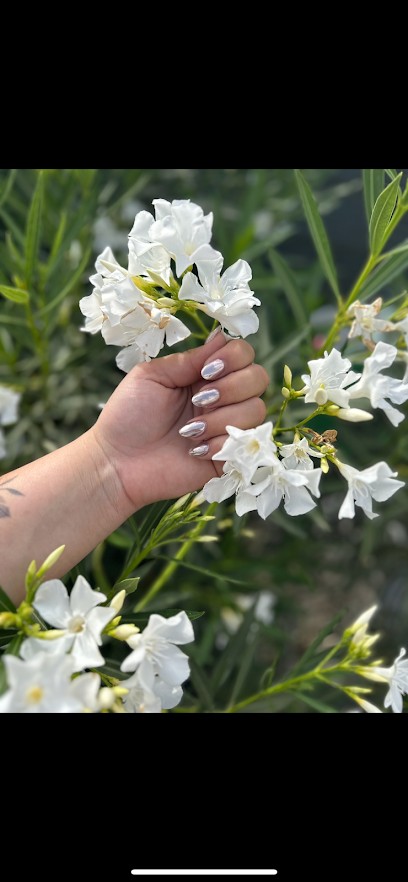Ongles Styl’élégance, Institut de Beauté à Pia