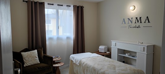 Anma Facialiste, Institut de Beauté à Ploumagoar