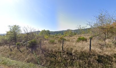 Pistol Carinne esthéticienne à domicile, Institut de Beauté à Montbrison