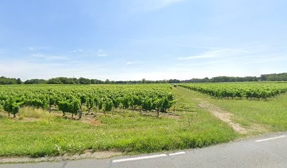 L.Manucure, Institut de Beauté à Saint-Sulpice-et-Cameyrac